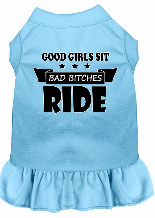 Bitches Ride Screen Print Dog Dress Baby Blue Med